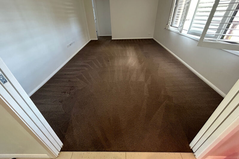 Port-Macquarie-Carpet-Cleaning